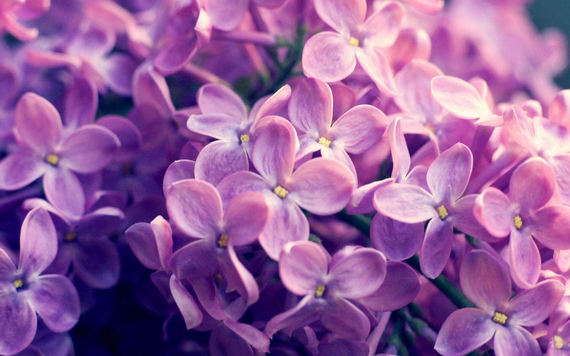 开云体育-安哥拉vs荷兰，苏亚雷斯的防线摧毁战，一场战术与天赋的终极对决