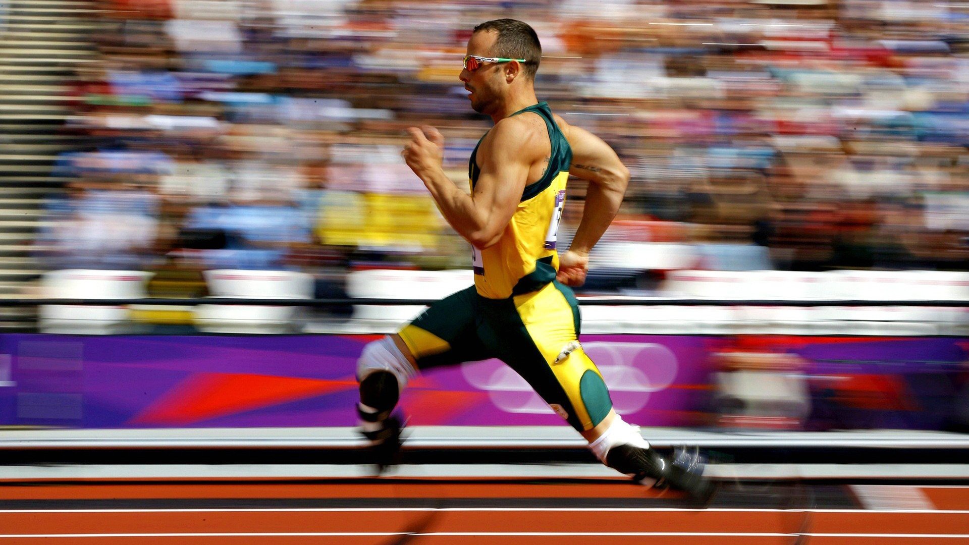 开云体育下载-足球与篮球的终极对话，当欧冠之夜遇上机器之心